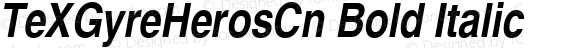 TeXGyreHerosCn Bold Italic