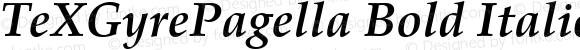 TeXGyrePagella Bold Italic