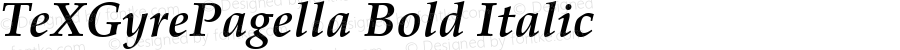 TeXGyrePagella Bold Italic