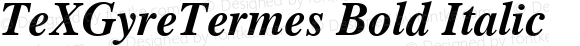 TeXGyreTermes Bold Italic