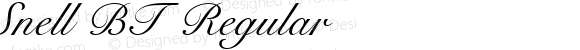 Snell BT Regular mfgpctt-v1.59 Thursday, March 11, 1993 8:35:29 am (EST)