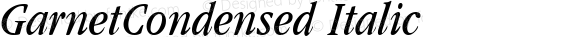 GarnetCondensed Italic