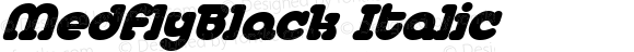 MedflyBlack Italic