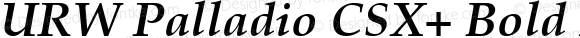 URW Palladio CSX+ Bold Italic 001.003