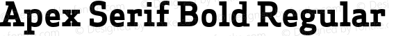 Apex Serif Bold Regular