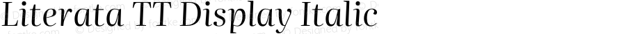 Literata TT Display Italic