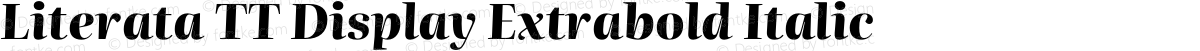 Literata TT Display Extrabold Italic