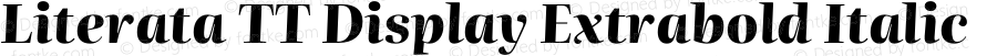 Literata TT Display Extrabold Italic