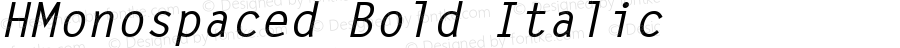 HMonospaced Bold Italic