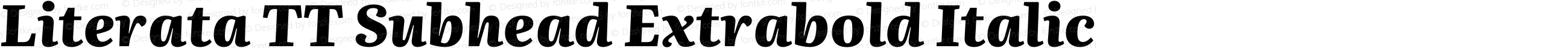 Literata TT Subhead Extrabold Italic