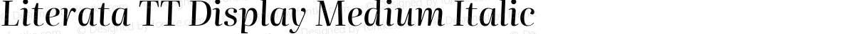 Literata TT Display Medium Italic