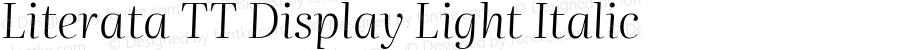 Literata TT Display Light Italic