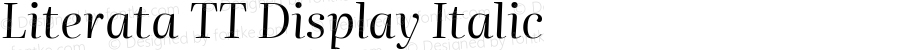 Literata TT Display Italic