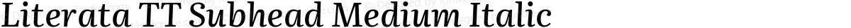 Literata TT Subhead Medium Italic