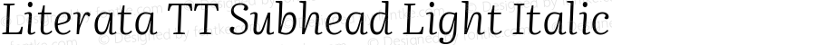 Literata TT Subhead Light Italic