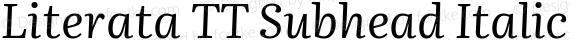 Literata TT Subhead Italic