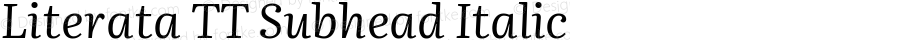 Literata TT Subhead Italic