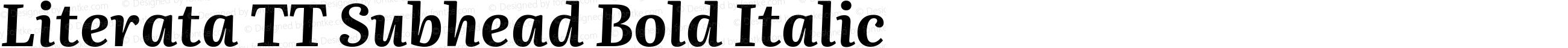 Literata TT Subhead Bold Italic