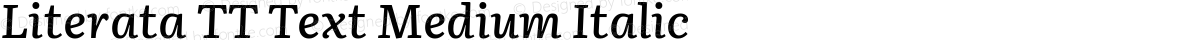 Literata TT Text Medium Italic