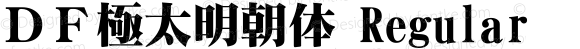 ＤＦ極太明朝体 Regular 1 Apr, 1997: Version 2.10
