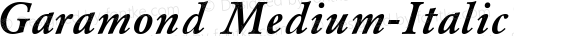 Garamond Medium-Italic