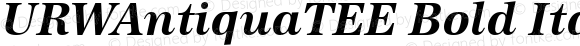 URWAntiquaTEE Bold Italic