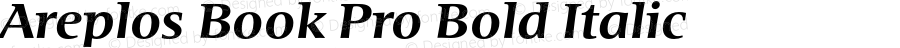 Areplos Book Pro Bold Italic