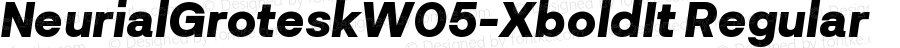 Neurial Grotesk W05 Xtrabold It