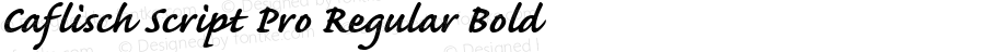 Caflisch Script Pro Regular Bold