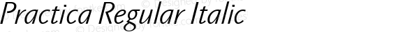 Practica Regular Italic