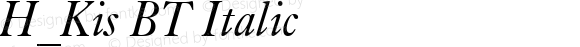 H_Kis BT Italic