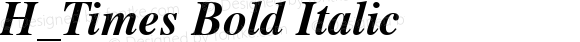 H_Times Bold Italic