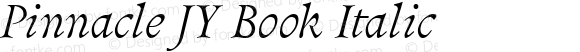 Pinnacle JY Book Italic