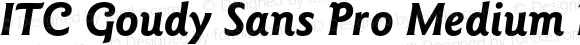ITC Goudy Sans Pro Medium Bold Italic