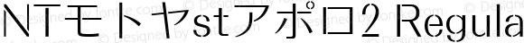 NTモトヤstアポロ2 Regular