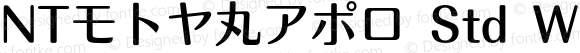 NTモトヤ丸アポロ Std W4 Regular