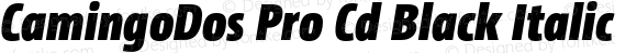 CamingoDos Pro Cd Black Italic