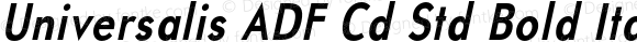 Universalis ADF Cd Std Bold Italic