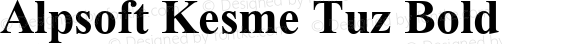 Alpsoft Kesme Tuz Bold Version 3.00 April 8, 2009