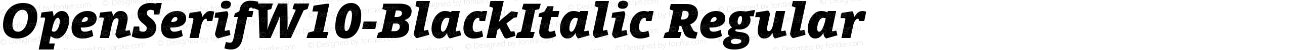 Open Serif W10 Black Italic
