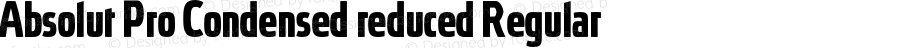 Absolut Pro Condensed reduced Regular