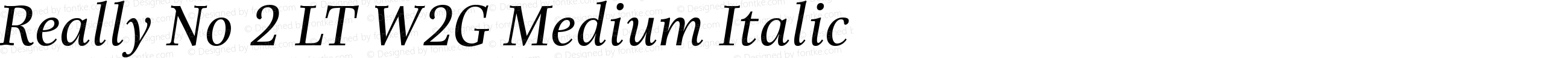 Really No 2 LT W2G Medium Italic