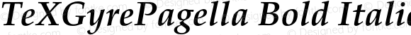 TeXGyrePagella Bold Italic