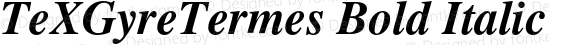 TeXGyreTermes Bold Italic