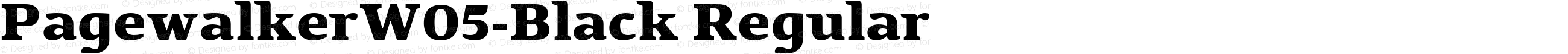 Pagewalker W05 Black
