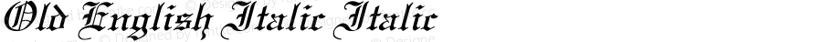 Old English Italic Italic Unknown