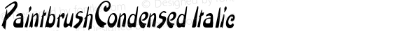 PaintbrushCondensed Italic