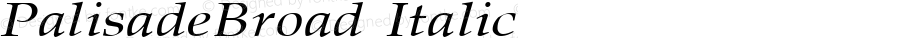 PalisadeBroad Italic