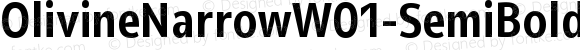 OlivineNarrowW01-SemiBold Regular