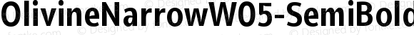 OlivineNarrowW05-SemiBold Regular
